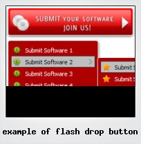 Example Of Flash Drop Button