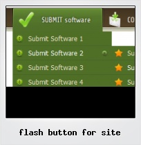 Flash Button For Site