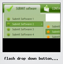 Flash Drop Down Button Control