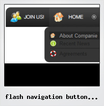 Flash Navigation Button Software