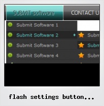 Flash Settings Button Javascript
