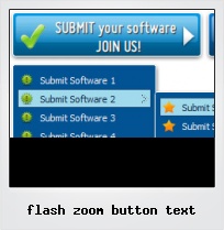 Flash Zoom Button Text