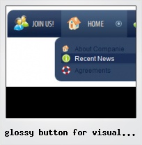 Glossy Button For Visual Basic 2008