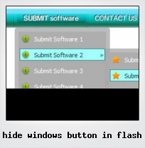 Hide Windows Button In Flash