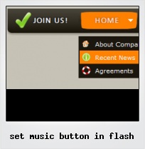 Set Music Button In Flash