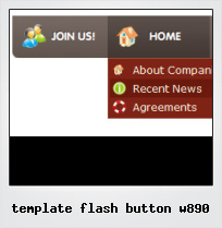 Template Flash Button W890