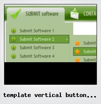 Template Vertical Button Flash
