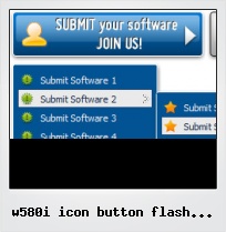 W580i Icon Button Flash Vista 3d