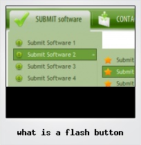 What Is A Flash Button