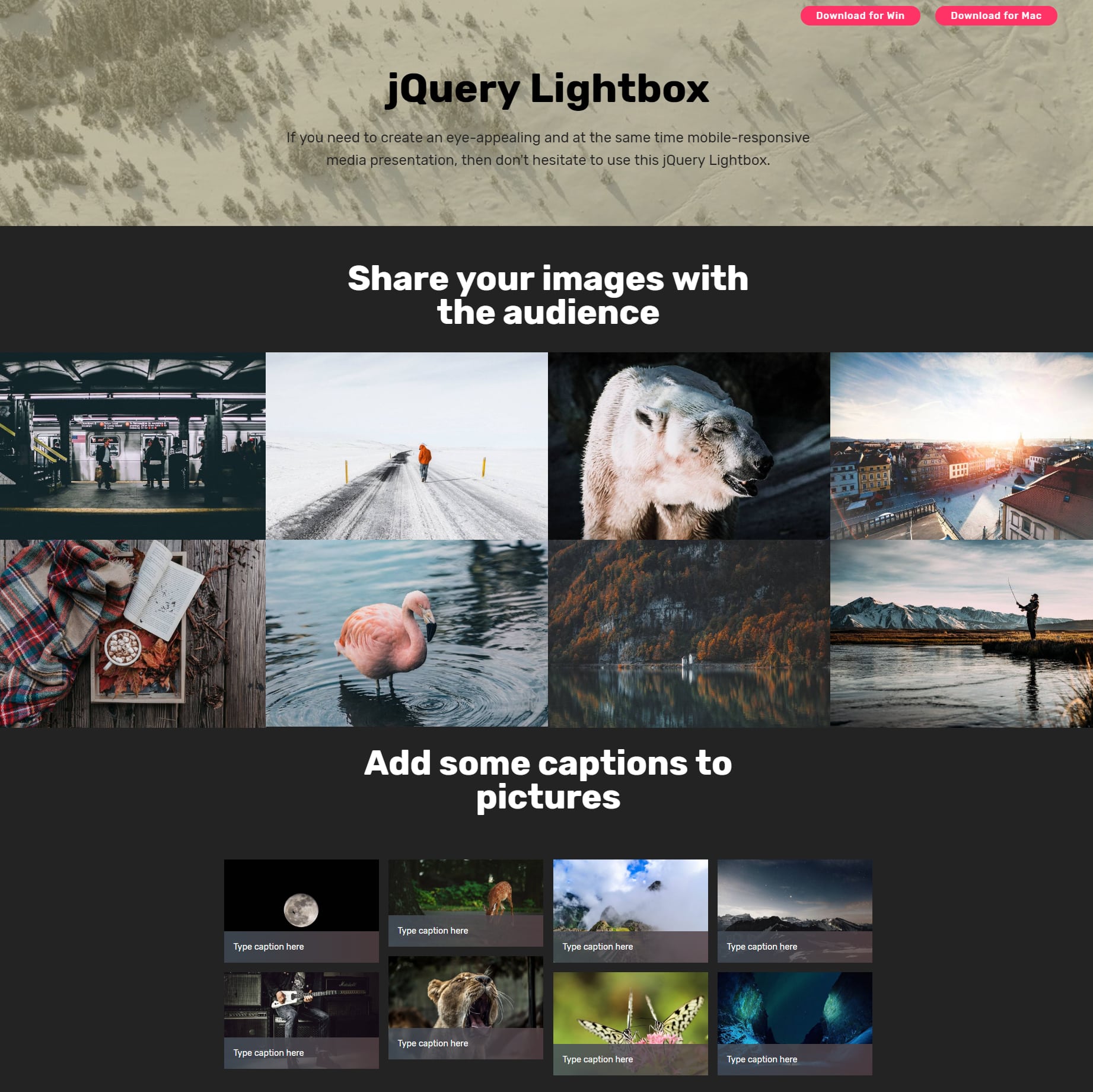 JavaScript Bootstrap Image Gallery