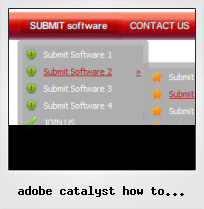 Adobe Catalyst How To Icon Buttons