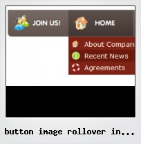 Button Image Rollover In Flash
