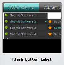 Flash Button Label