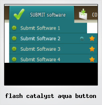 Flash Catalyst Aqua Button Flash Catalyst Aqua Button