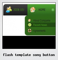 Flash Template Sony Button