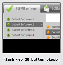 Flash Web 20 Button Glossy