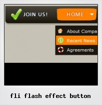 Fli Flash Effect Button