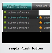 Sample Flash Button