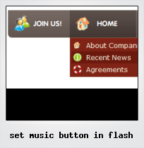 Set Music Button In Flash